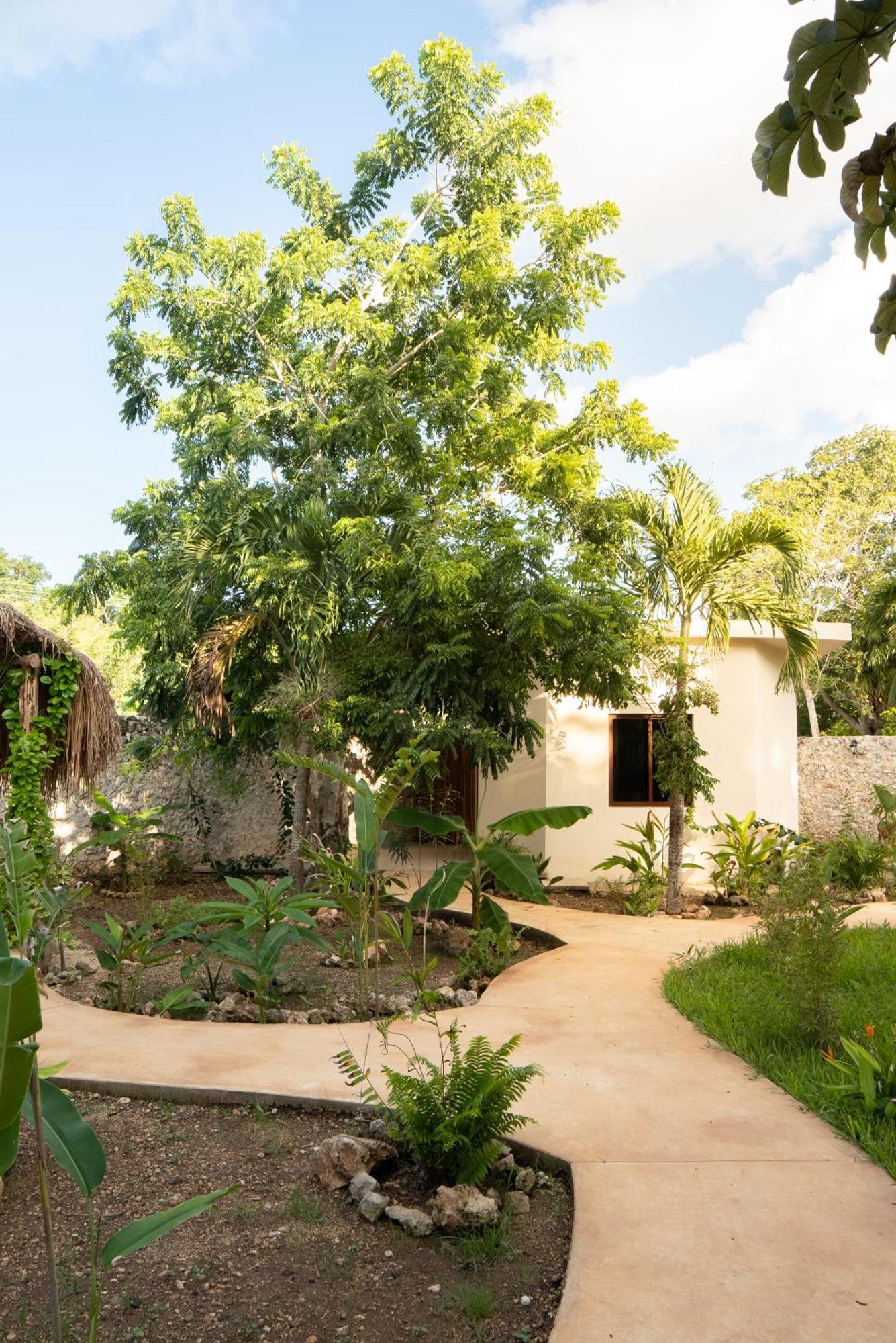 Casa Cactus Buenavista Villa Bacalar Exterior photo
