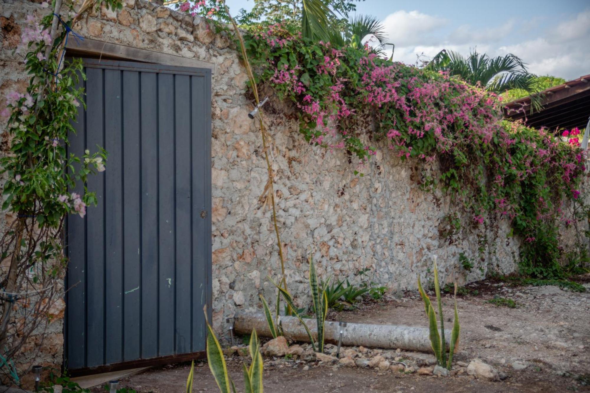 Casa Cactus Buenavista Villa Bacalar Exterior photo