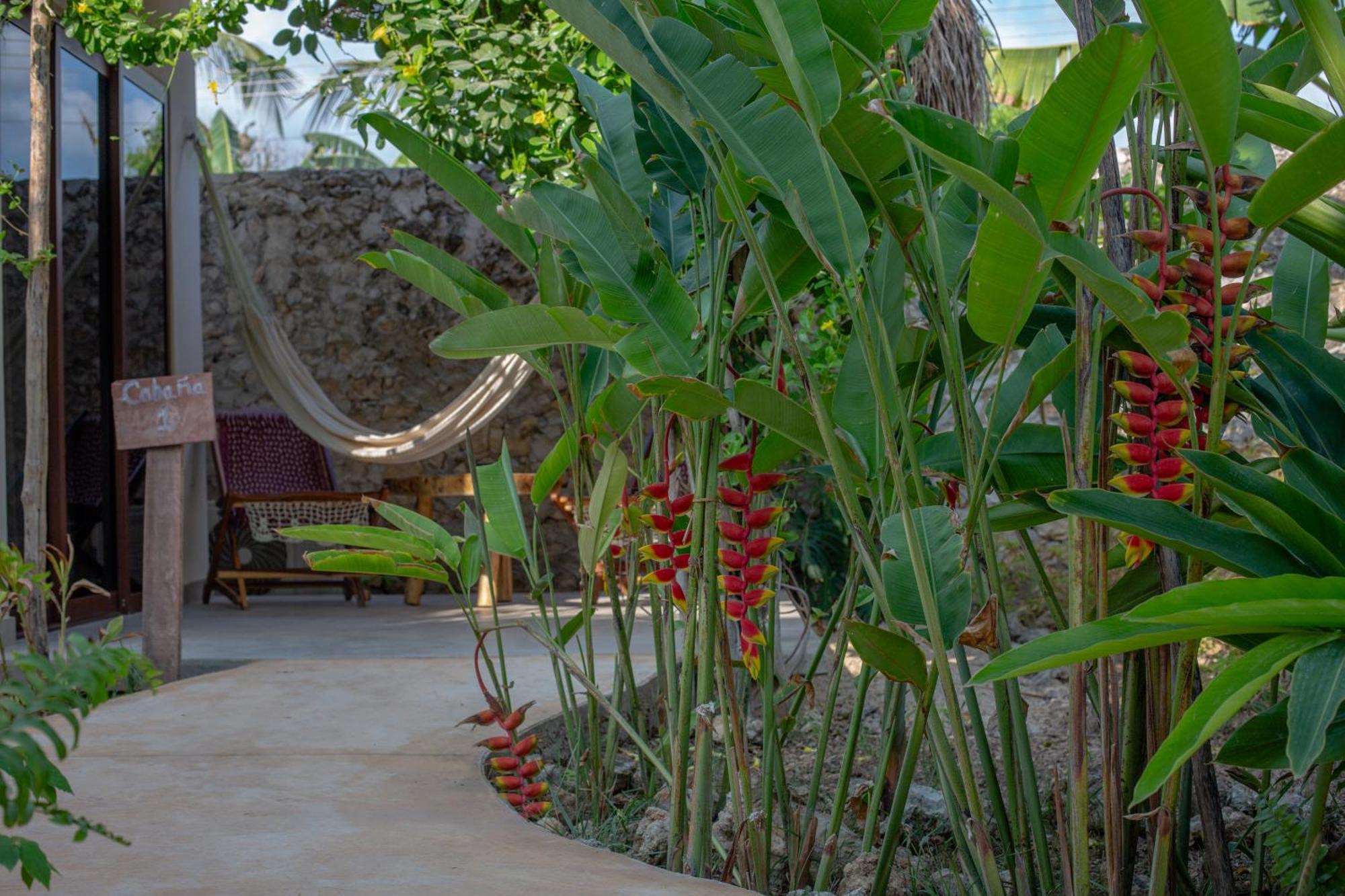 Casa Cactus Buenavista Villa Bacalar Exterior photo