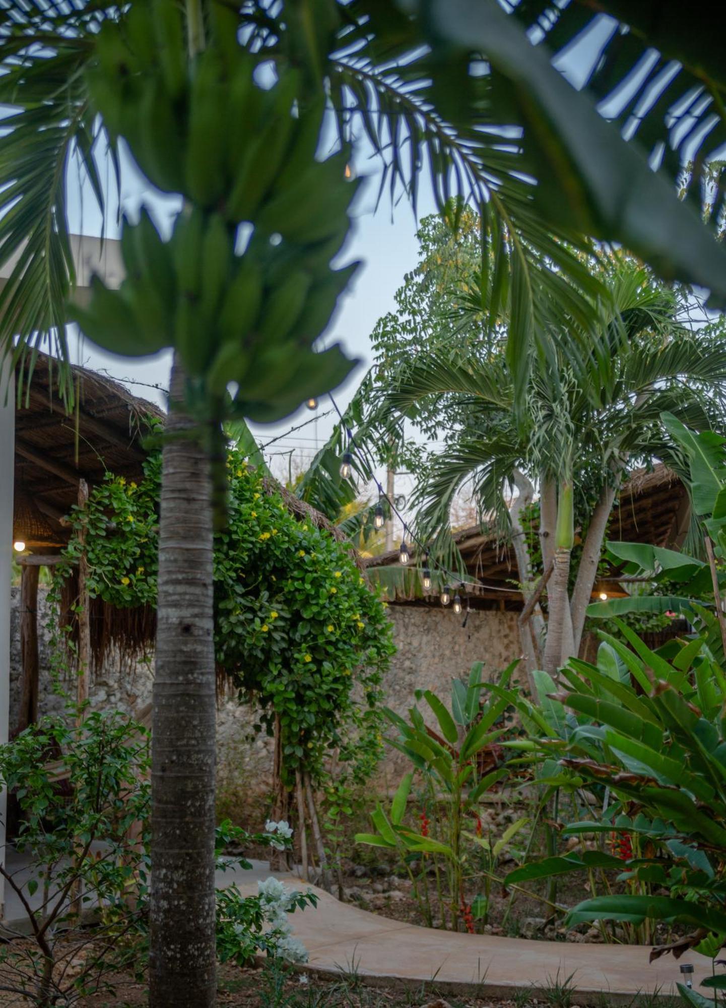 Casa Cactus Buenavista Villa Bacalar Exterior photo